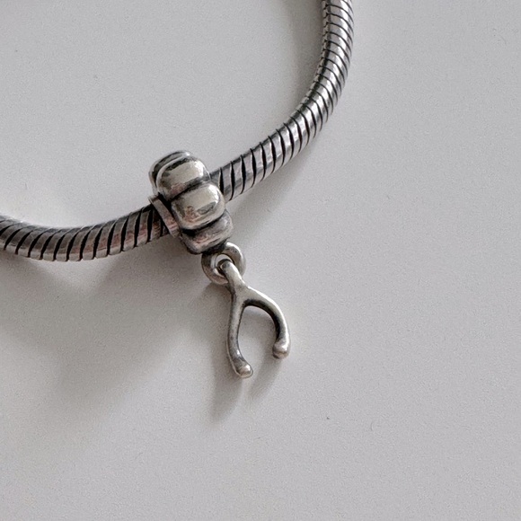 Pandora Bracelet x Charms - Picture 4 of 5